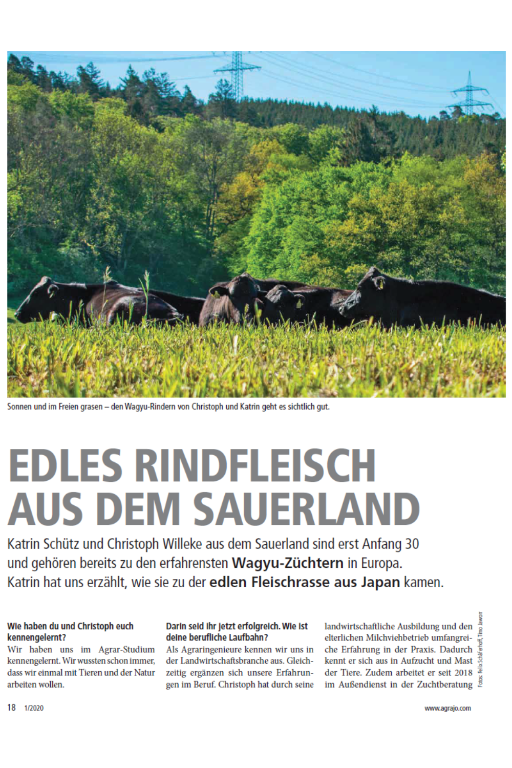 EDLES RINDFLEISCH AUS DEM SAUERLAND