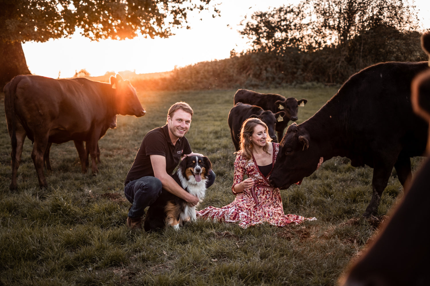 Gründer von Wagyu Sauerland jüngste Wagyu Züchter Deutschlands