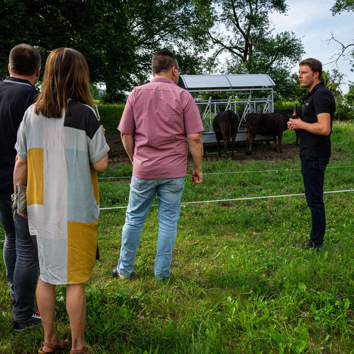 geschenk-fleisch, Wagyu Sauerland, Tasting mit Hofführung, Wagyurinder auf der Weide